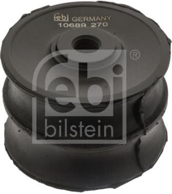 Mounting, automatic transmission 10689