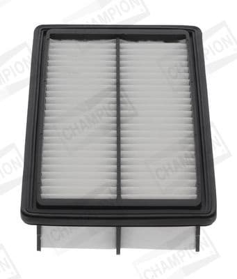 Air Filter CAF101266P