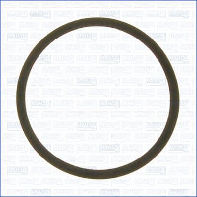Seal Ring, oil cooler (lubrication) 24018400
