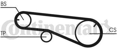 Timing Belt CT991