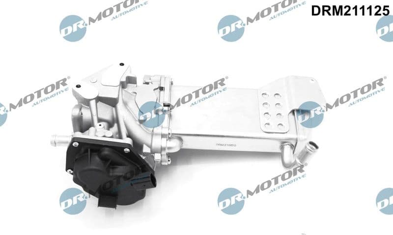 EGR Valve DRM211125