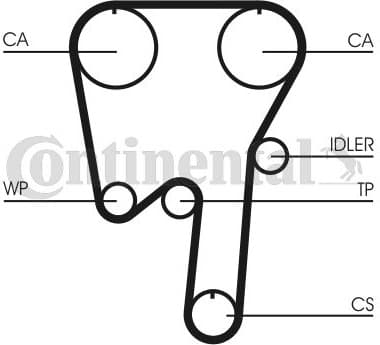 Timing Belt CT981