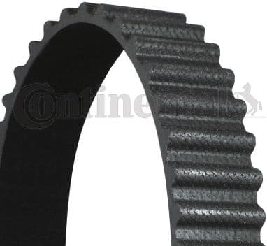 Timing Belt CT981 - image 2
