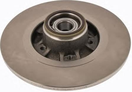 Brake disc with bearing R1033PCA