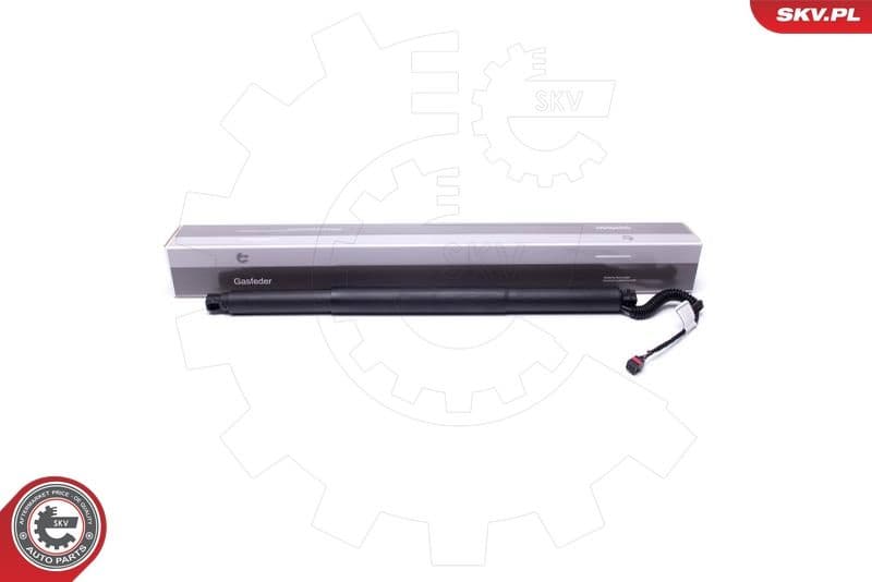 Electric Motor, tailgate 52SKV904