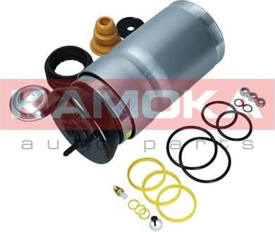 Air Spring, suspension 2079029