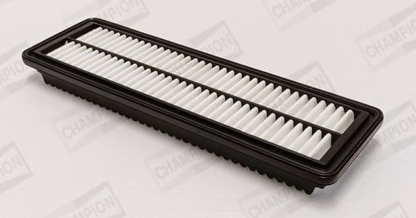 Air Filter CAF101200P