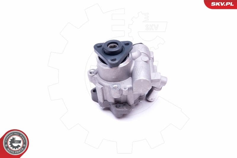 Hydraulic Pump, steering 10SKV248 - image 3