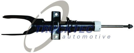 Shock Absorber 07.30.208