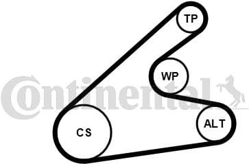 V-ribbed Belt Set 6PK1306K2 - image 2