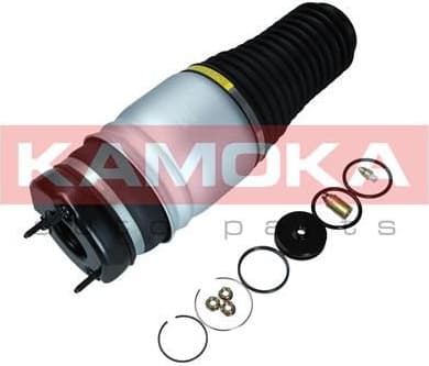 Air Spring, suspension 2079027
