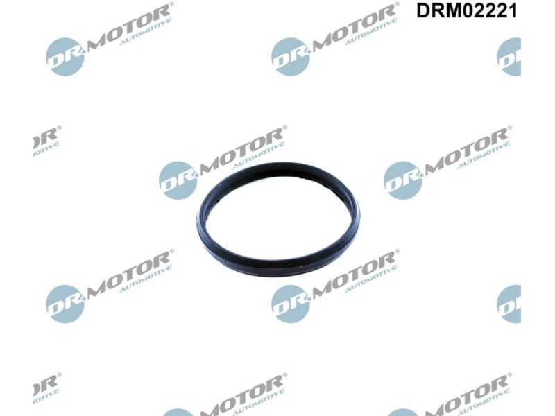 Seal, timing chain tensioner DRM02221
