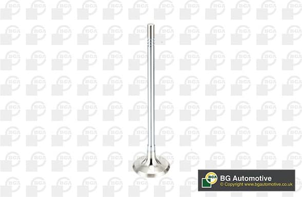 Exhaust Valve V165051