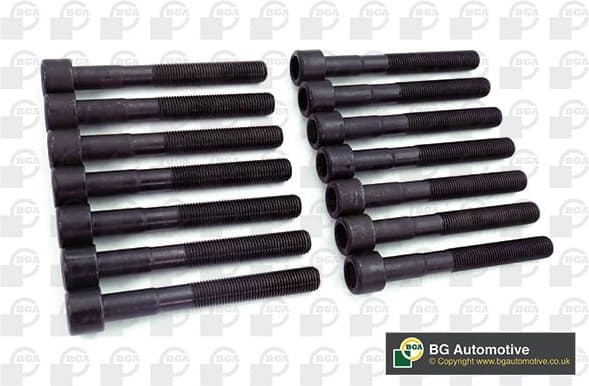 Cylinder Head Bolt Set BK5337