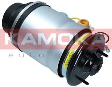 Air Spring, suspension 2079033