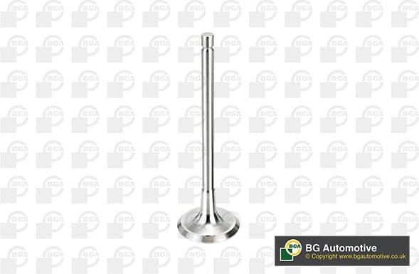 Intake Valve V998716