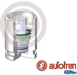 Piston, brake caliper D025698K