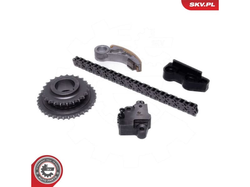 Timing Chain Kit 21SKV266 - image 2