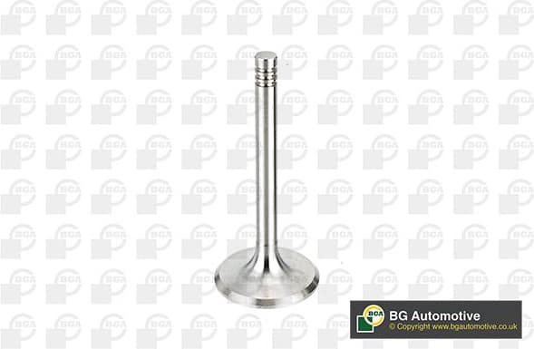 Intake Valve V033313