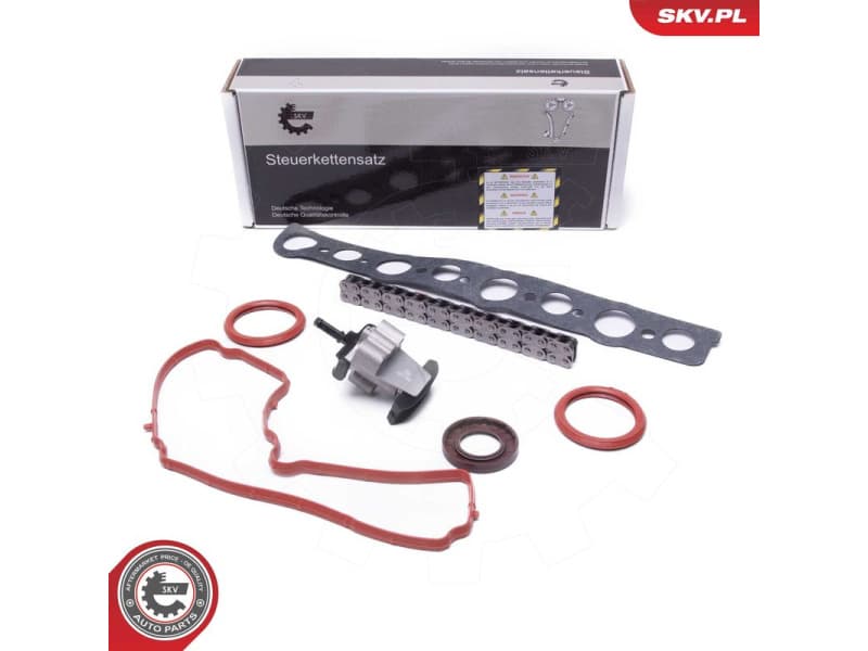 Timing Chain Kit 21SKV254