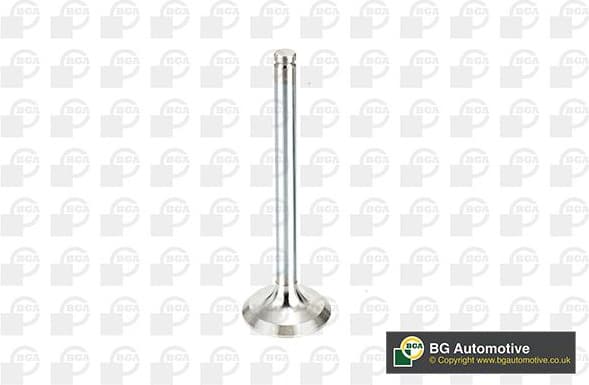 Exhaust Valve V537851