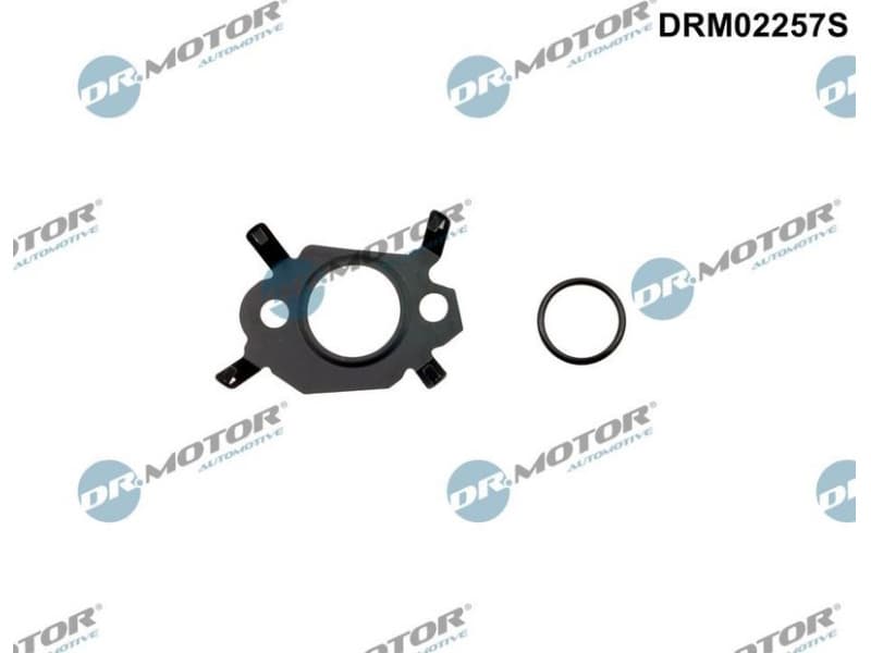 Gasket Set, EGR system DRM02257S
