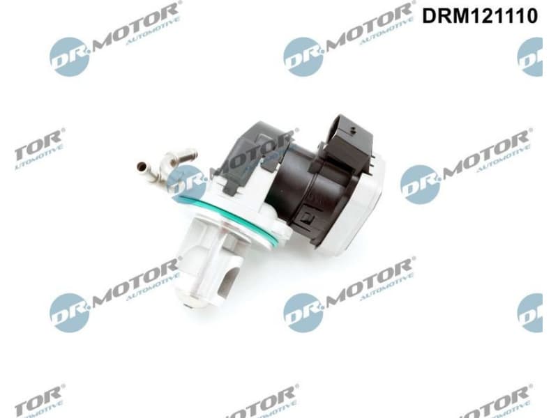 EGR Valve DRM121110