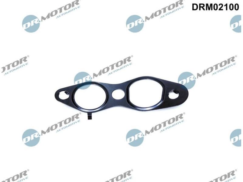 Gasket, EGR valve DRM02100