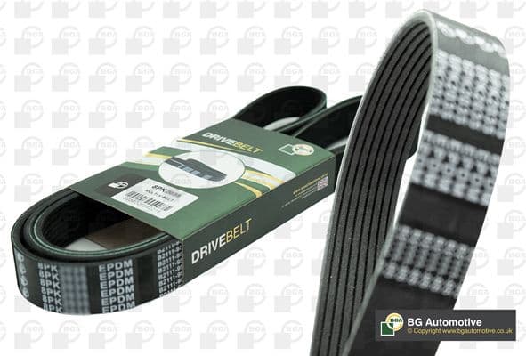 V-ribbed Belt 8PK1395