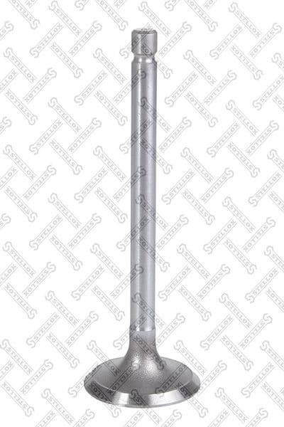 Intake Valve 01-24412-SX