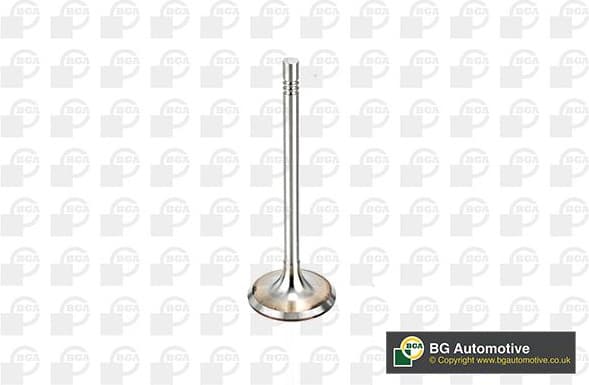 Intake Valve V164520