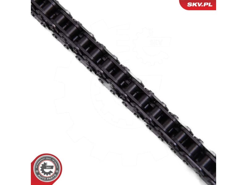 Timing Chain Kit 21SKV256 - image 3