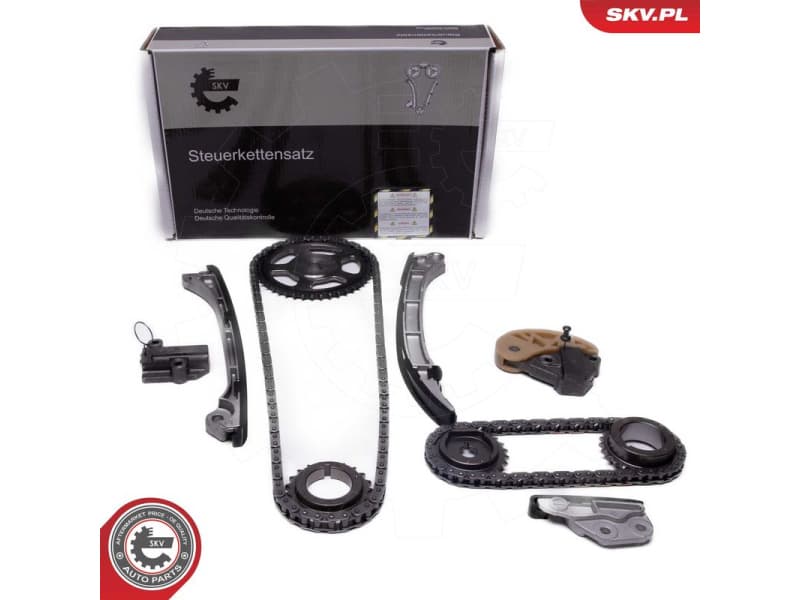 Timing Chain Kit 21SKV250