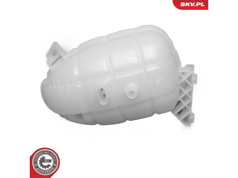 Expansion Tank, coolant 61SKV493 - image 4