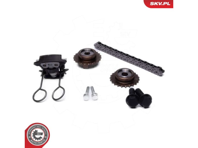 Timing Chain Kit 21SKV255 - image 2