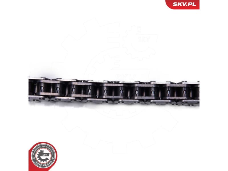 Timing Chain Kit 21SKV255 - image 3