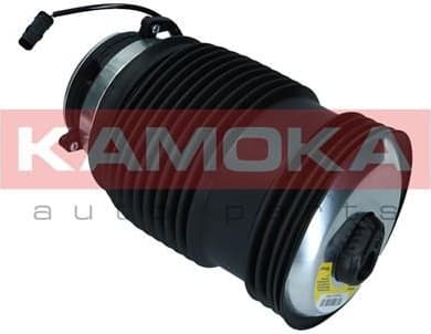 Air Spring, suspension 2079050 - image 4