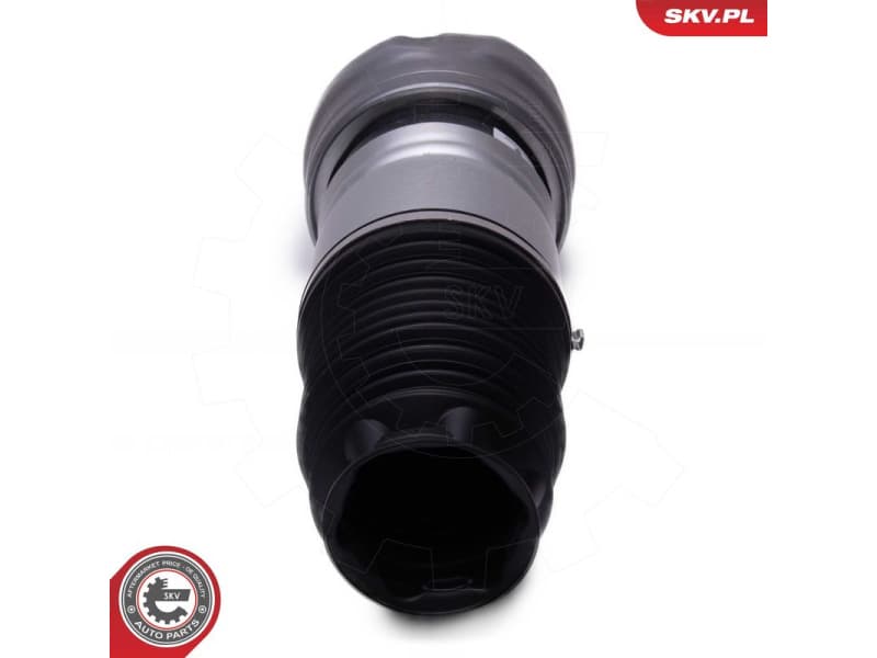 Air Suspension Strut 58SKV080 - image 2