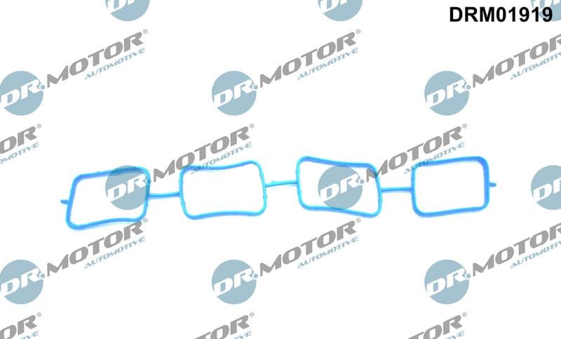 Gasket, intake manifold DRM01919