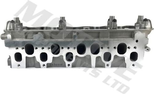 Cylinder Head CYW9019
