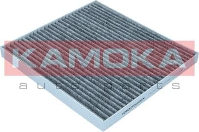 Filter, cabin air F522501