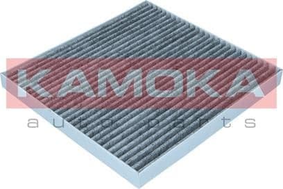 Filter, cabin air F522501 - image 4