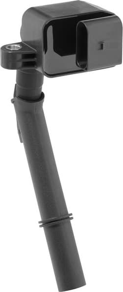 ZSE241 (BorgWarner (BERU))