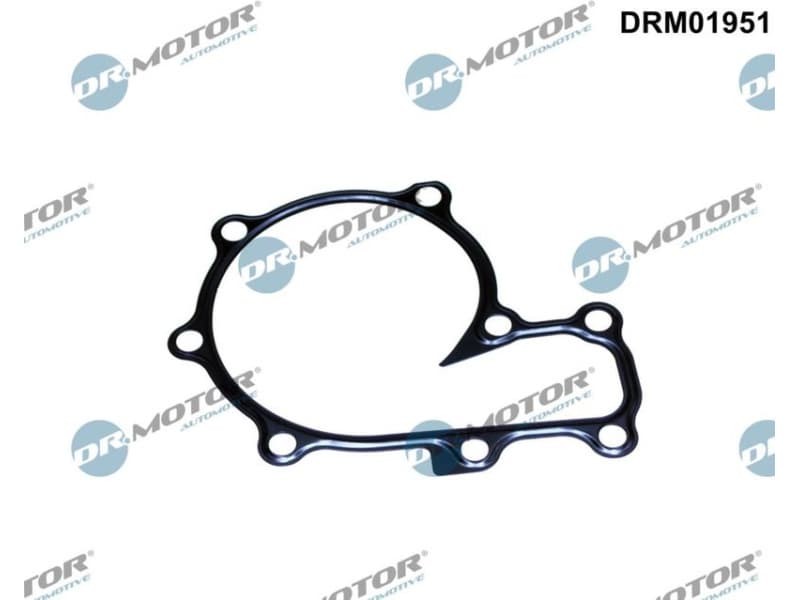 Gasket, water pump DRM01951