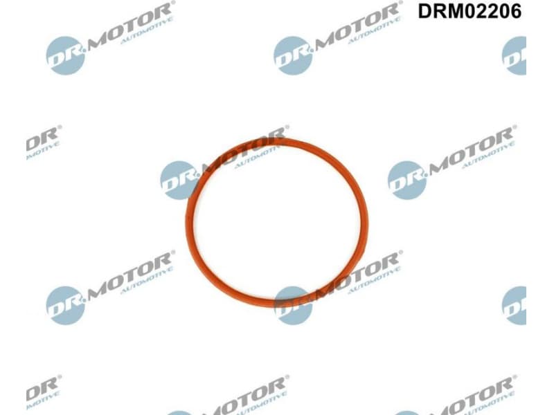 Gasket, throttle body DRM02206