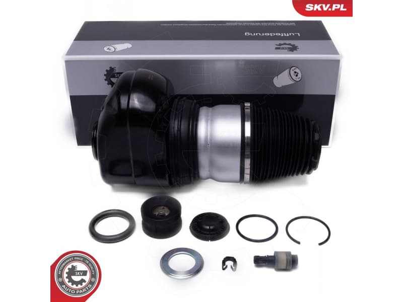 Air Suspension Strut 58SKV081