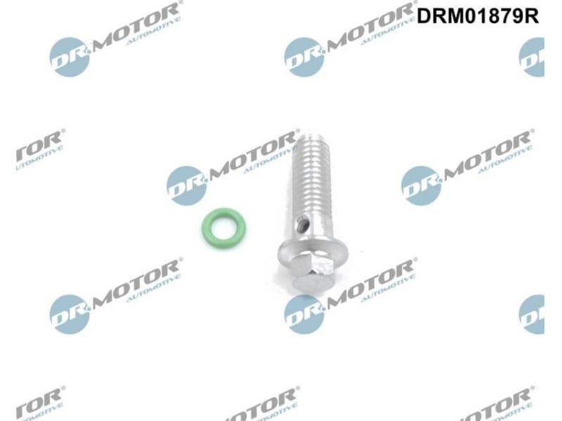 Repair Kit, oil pump DRM01879R