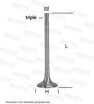 Exhaust Valve EV10051 - image 4