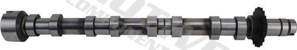 Camshaft T4433