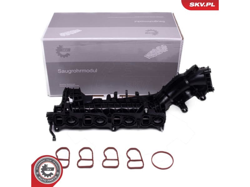 Intake Manifold Module 49SKV082